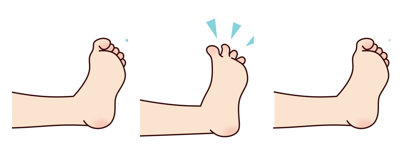 足の指の運動イメージ