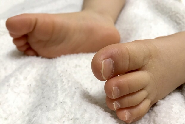 乳幼児の足